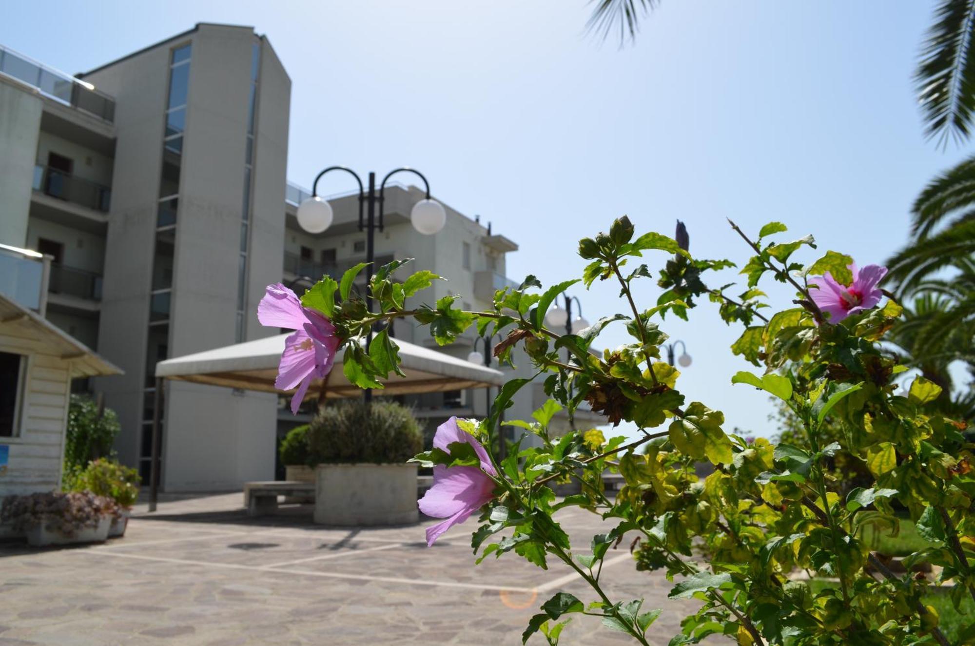 Residence Brezza Di Mare San Benedetto del Tronto Dış mekan fotoğraf
